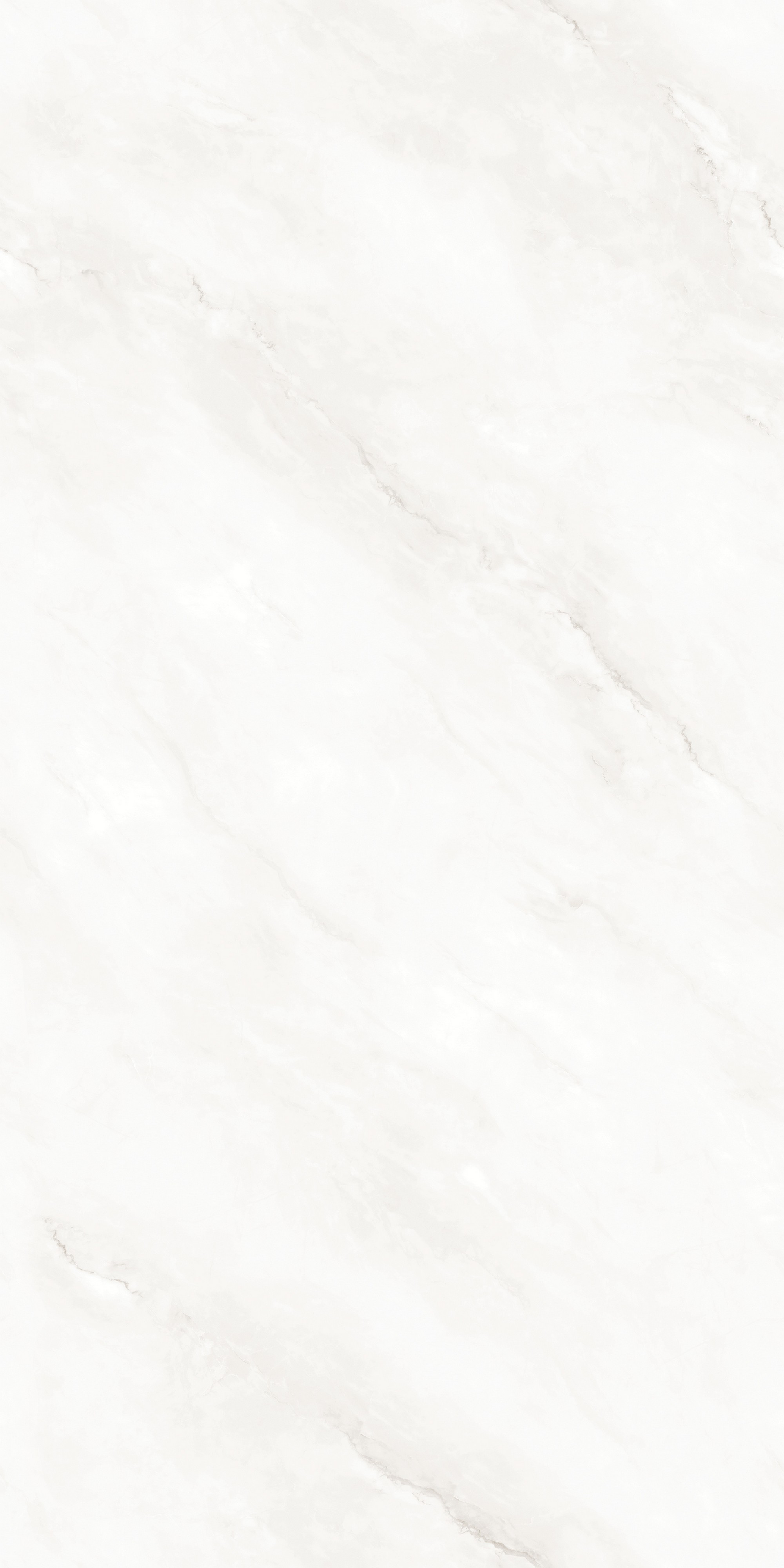 MASERATI WHITE ENDLESS